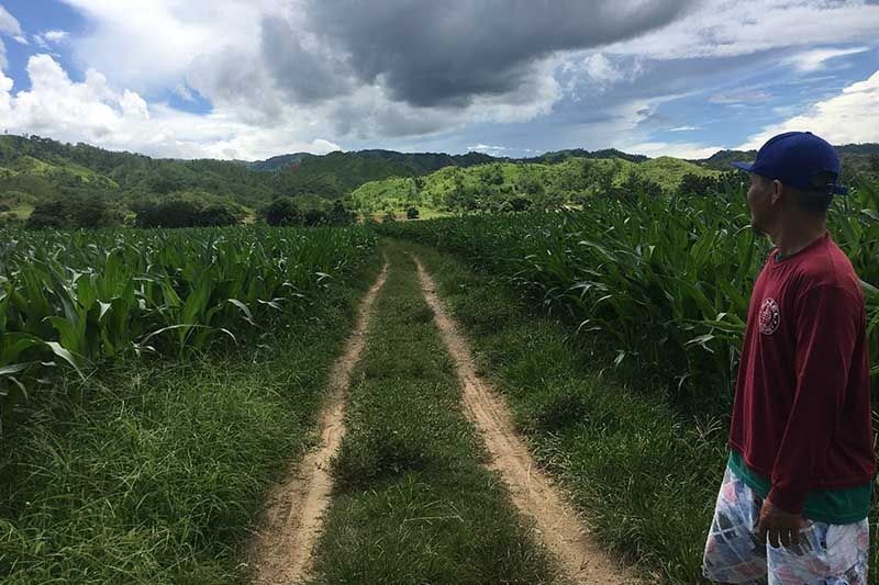 Smart technologies aim to reduce the climate risks Filipino farmers face