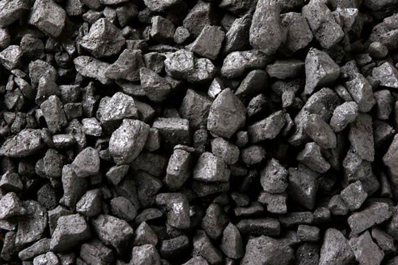 Green group wants clearer ADB plan on coal output