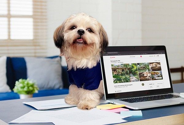 One-stop mobile app for pets launched