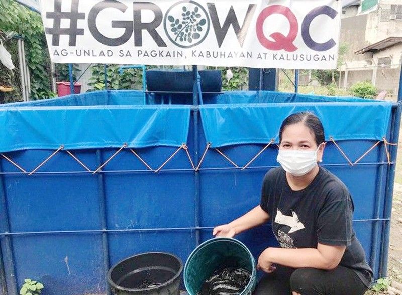 Quezon City project taps open spaces as food source