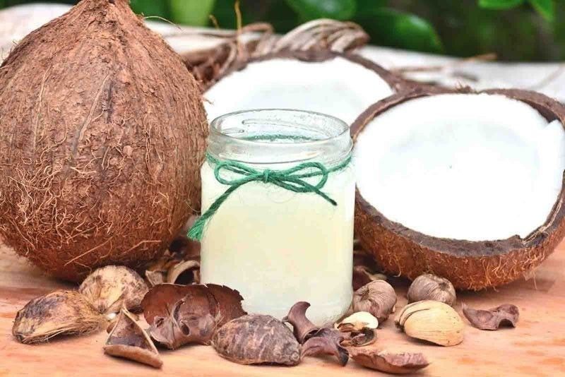 Coconut industry renews calls to tap VCO vs COVID-19