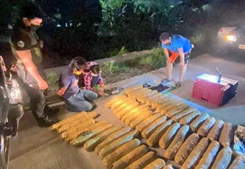 P7 million marijuana, shabu seized in Taguig, Quezon City stings