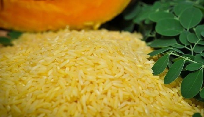 Golden Rice to herald new age of GMO food