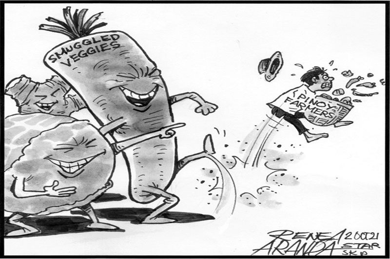 EDITORIAL - Vegetable smuggling