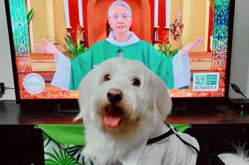 Paws up to a virtual pet blessing