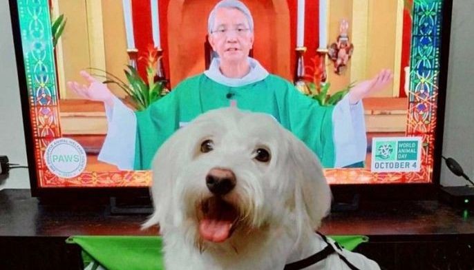 Paws up to a virtual pet blessing