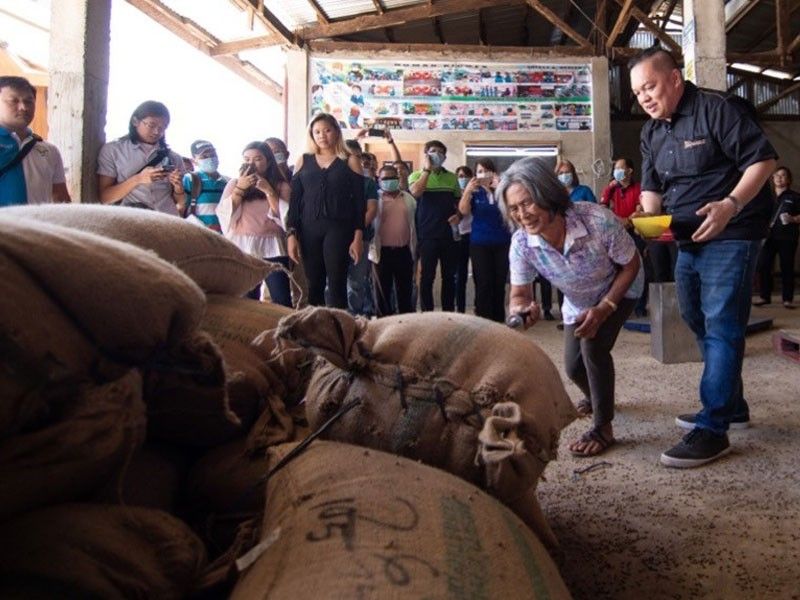 NestlÃ© local coffee buying up 39%, joins TESDA to train coffee scholars