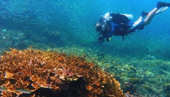 PH 'Leading Beach, Dive Destination'; Manila 'Leading City Destination' at World Travel Awards 2023
