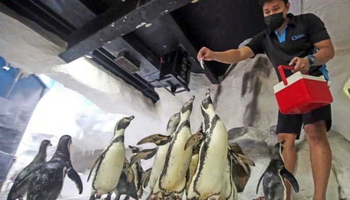 Manila Ocean Park reopens