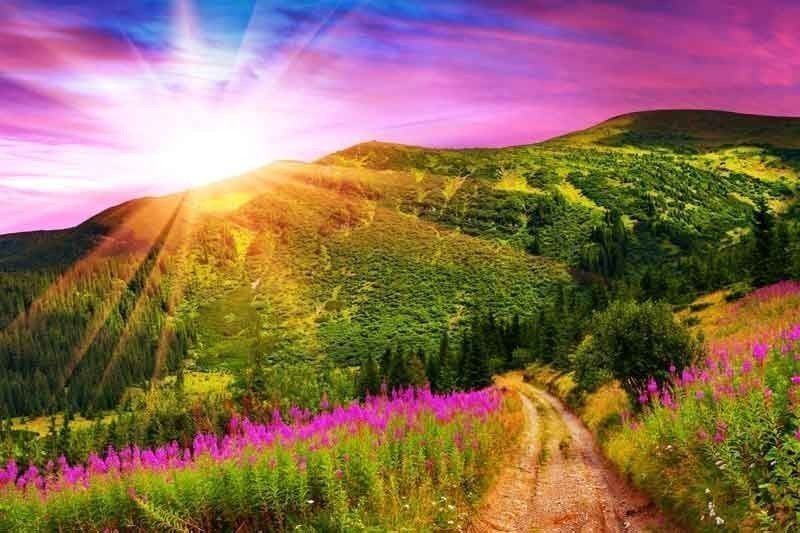A Road Not Traveled