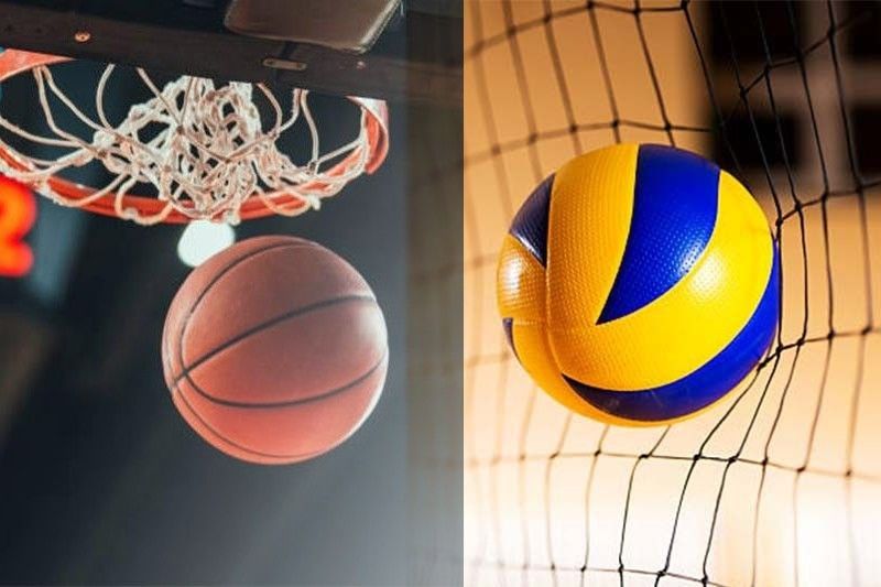 Basketball and Volleyball