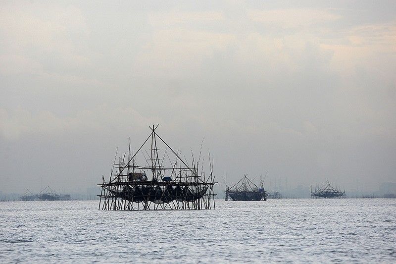 BFAR: Red tide alerts remain in Bohol, Masbate, other areas