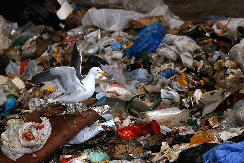 United States is world's biggest plastic polluter, report finds