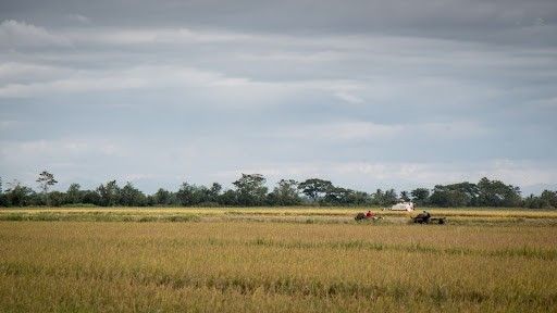 Farmers need anticipatory adaptation to survive accelerating climate impacts