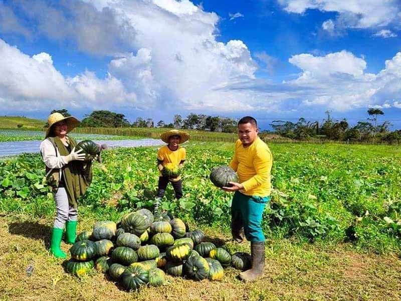 Demo pertanian sayuran Lanao del Sur berjalan lancar