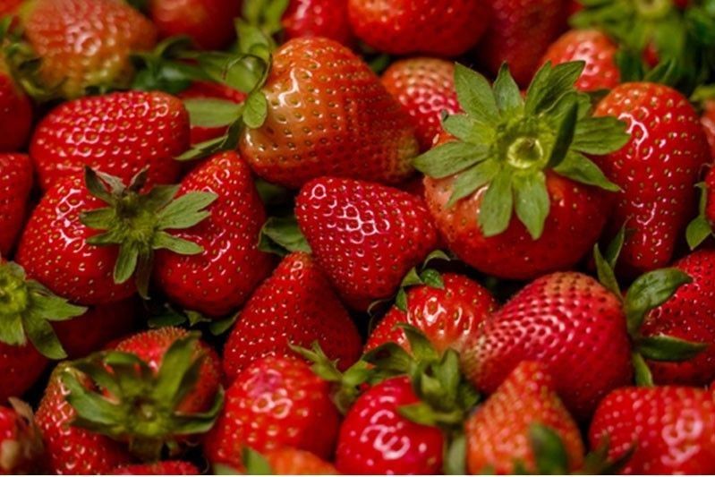 Strawberries mula Korea bumuhos, mga magsasaka sa Benguet umalma
