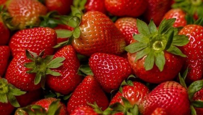 Strawberries mula Korea bumuhos, mga magsasaka sa Benguet umalma