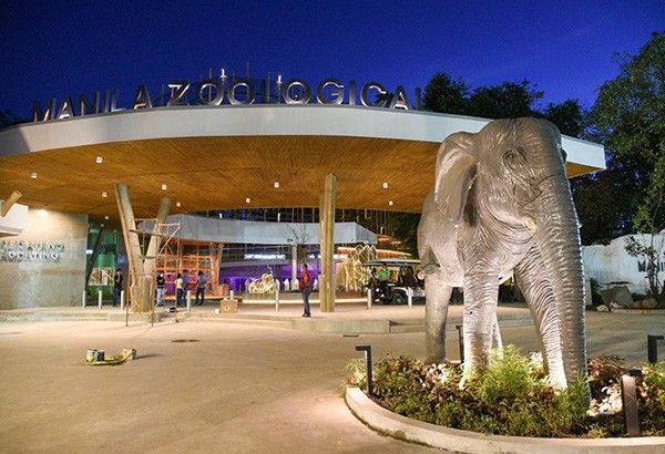 Renovated Manila Zoo set to open on December 30