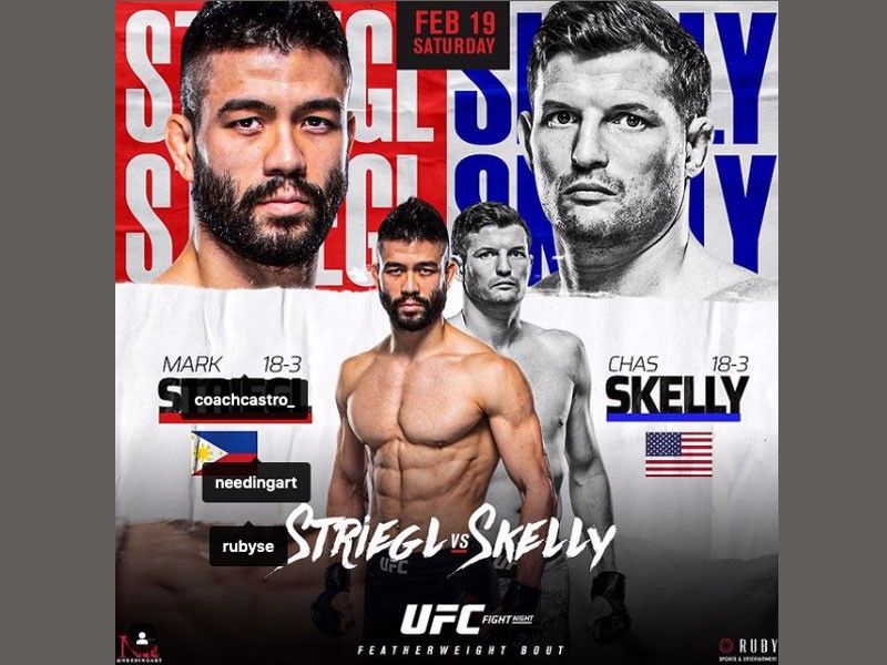 Mark Striegl suffers 2nd round TKO loss to Chas Skelly