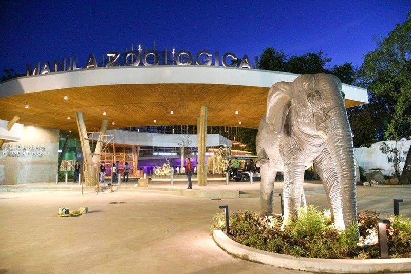 Moreno wants Mali to stay in Manila Zoo