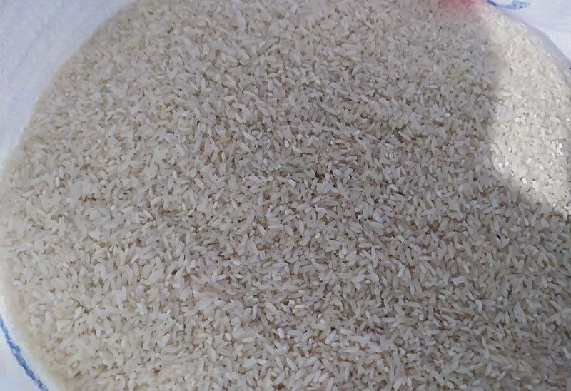 DA unit releases guide in assessing quality of rice