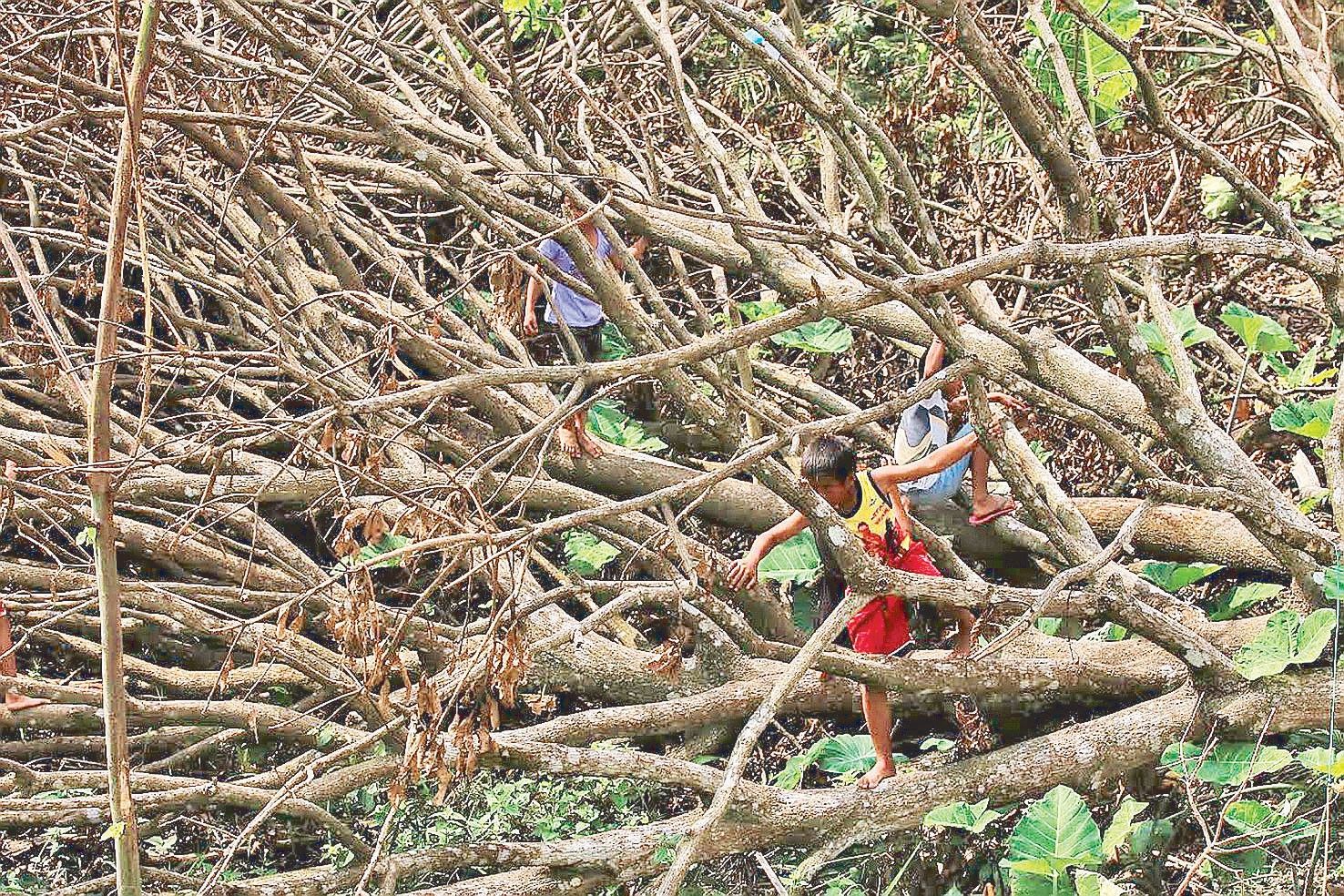 Odette agriculture damage balloons to P12.7 billion