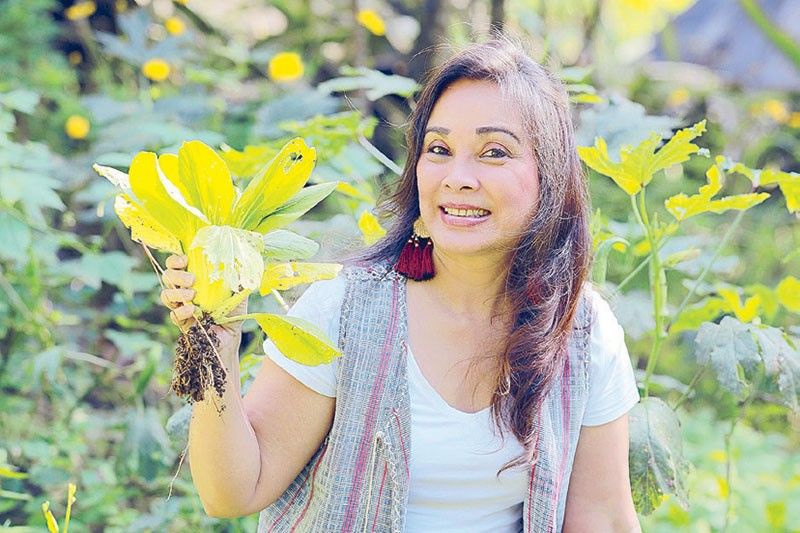 Loren Legarda, the original plantita: Try to plant something edible or medicinal