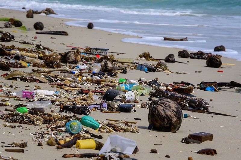 World must work together to tackle plastic ocean threat: WWF