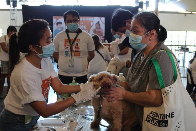 Ortigas Malls kicks off Rabies Awareness Month at Tiendasitas