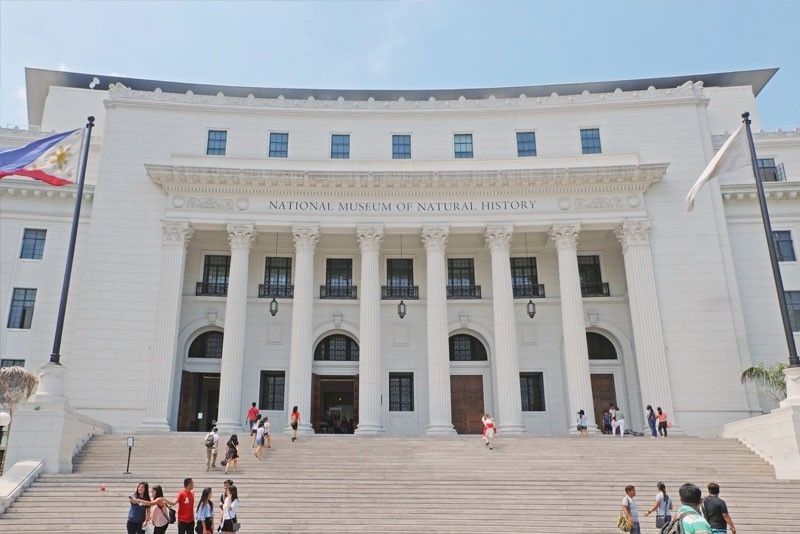 Museum Nasional menandai jumlah pengunjung tertinggi sejak dibuka kembali