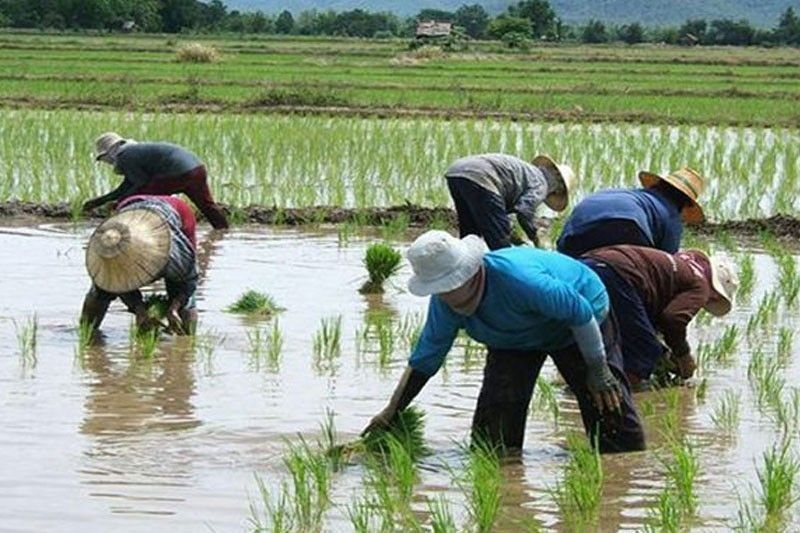 â��Batas Sagip Sakaâ�� may benepisyo na sa magsasaka, mangingisda