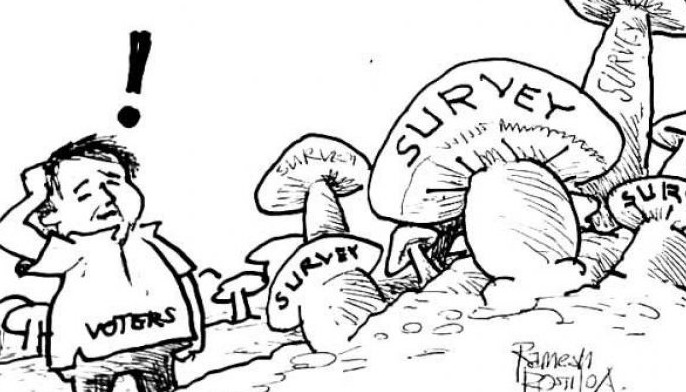 EDITORIAL - Again, of surveys and voters