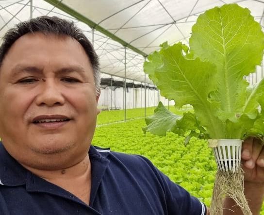 Hydroponic veggie farming takes off in Basilan