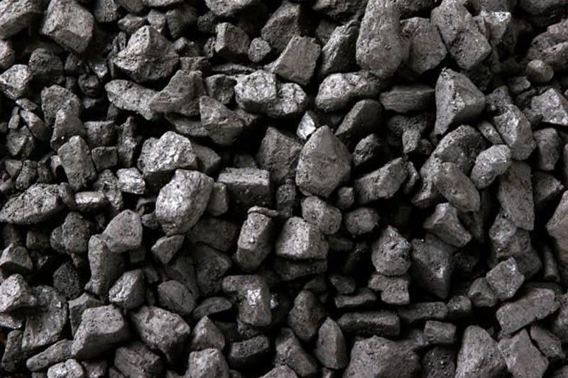 DENR enforces stricter rules on charcoal production