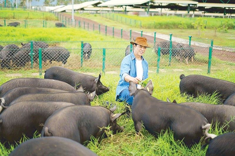 Kurobuta pork produced locally