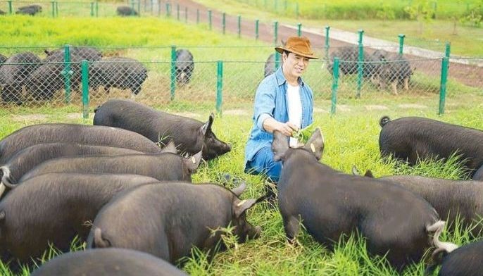 Kurobuta pork produced locally