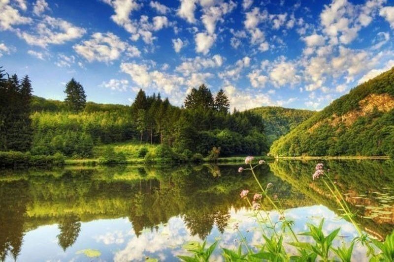 Our Father Sings - Vimarsana News