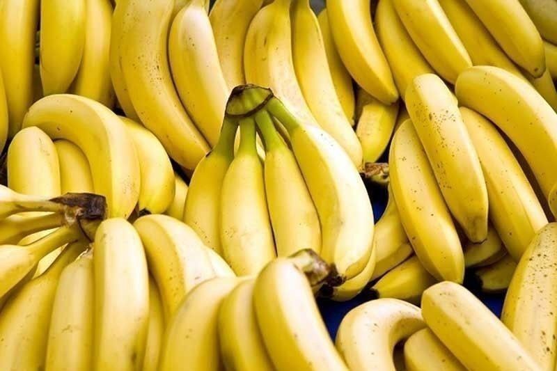 Philippine banana exports to Japan get P3 million fund for promotion