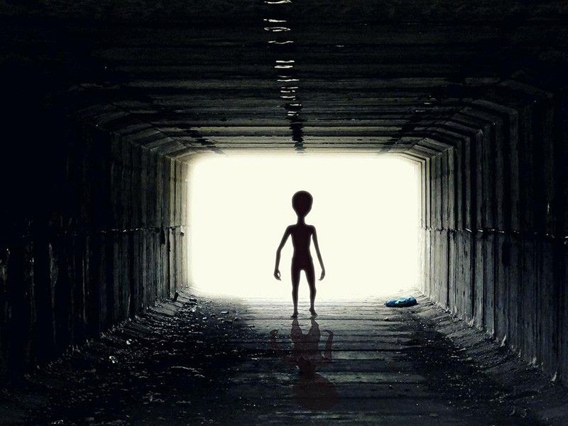 Bumi berencana mengirim pesan baru, foto telanjang manusia dengan harapan menemukan peradaban alien