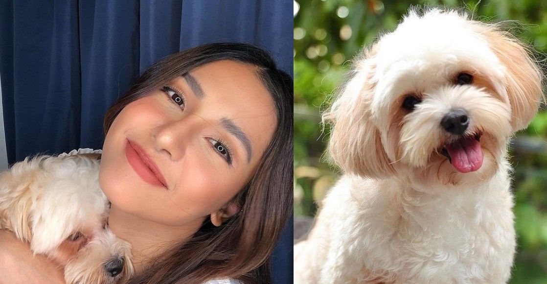 ‘Sobrang sakit na mawala ka’: Sanya Lopez berduka atas meninggalnya anjing peliharaan