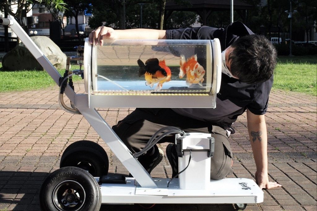 Taiwan man invents stroller for fish to 'explore other worlds'