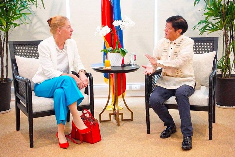 German envoy highlights human rights, intâ��l order in meeting with Marcos