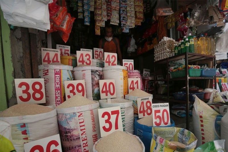 Over P8 billion doled out to farmers from rice tariff proceeds â DOF