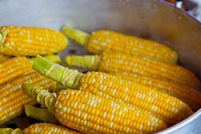 Philippine corn imports may reach 1.9 million MT