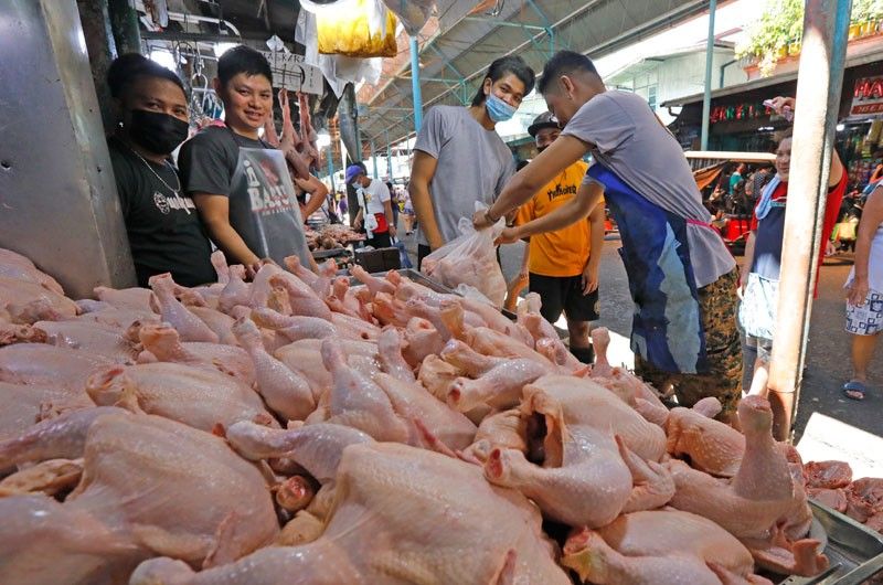 P30 milyong smuggled frozen chicken, nakumpiska ng BOC