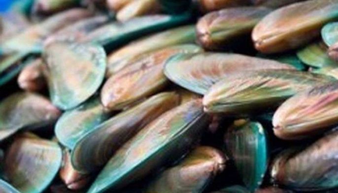 5 lugar positibo sa red tide, shellfish bawal kainin &ndash; BFAR