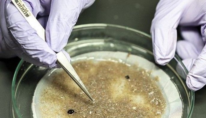 'They're everywhere': microplastics in oceans, air, human body