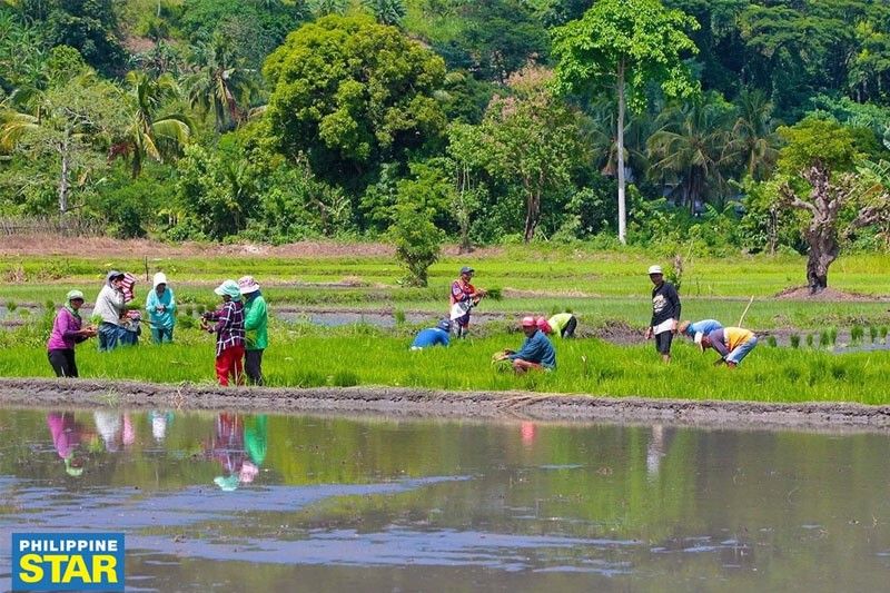 Urban Farming sa bansa palakasin, solusyon sa mataas na bilihin