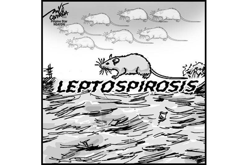 EDITORYAL - Mag-ingat sa leptospirosis