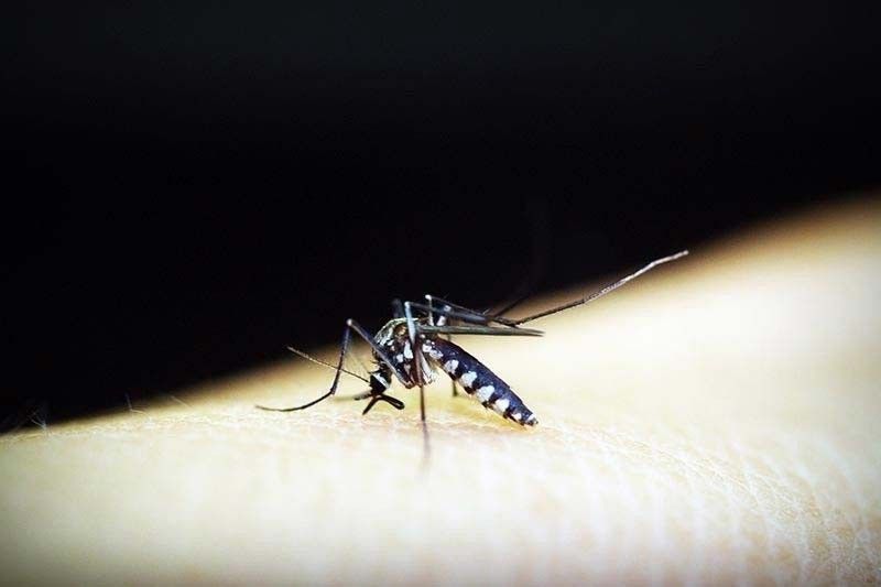 Dengue sa bansa, tumaas pa sa 131%
